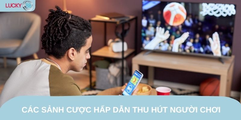 Các sảnh cược hấp dẫn thu hút người chơi